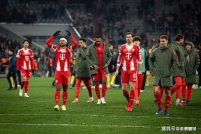 MILE中国官方网站-拜仁慕尼黑击败第五高冷弗赖堡成功保持领先的简单介绍